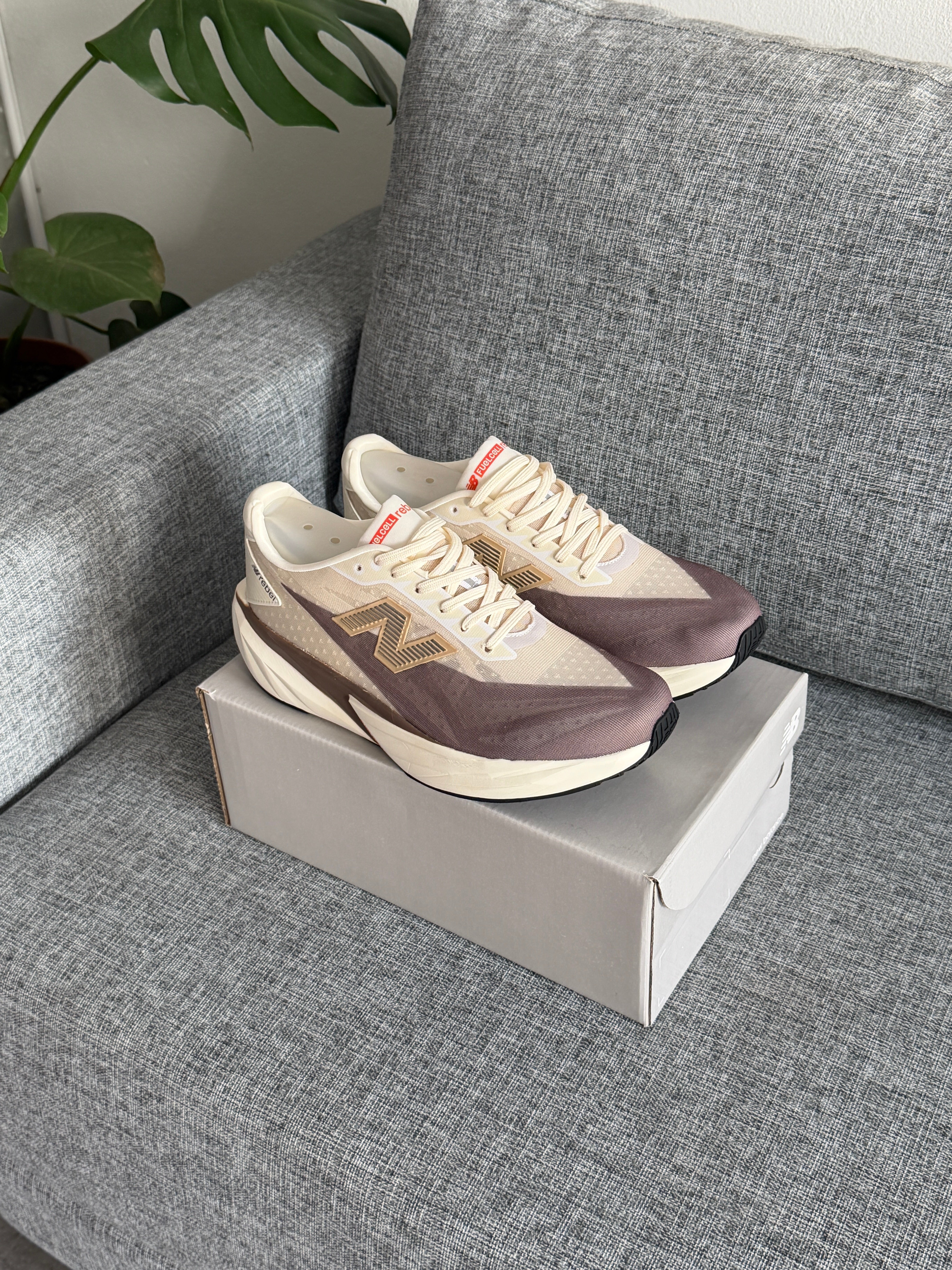 New Balance FuelCell Rebel v5 - Linen / Mushroom