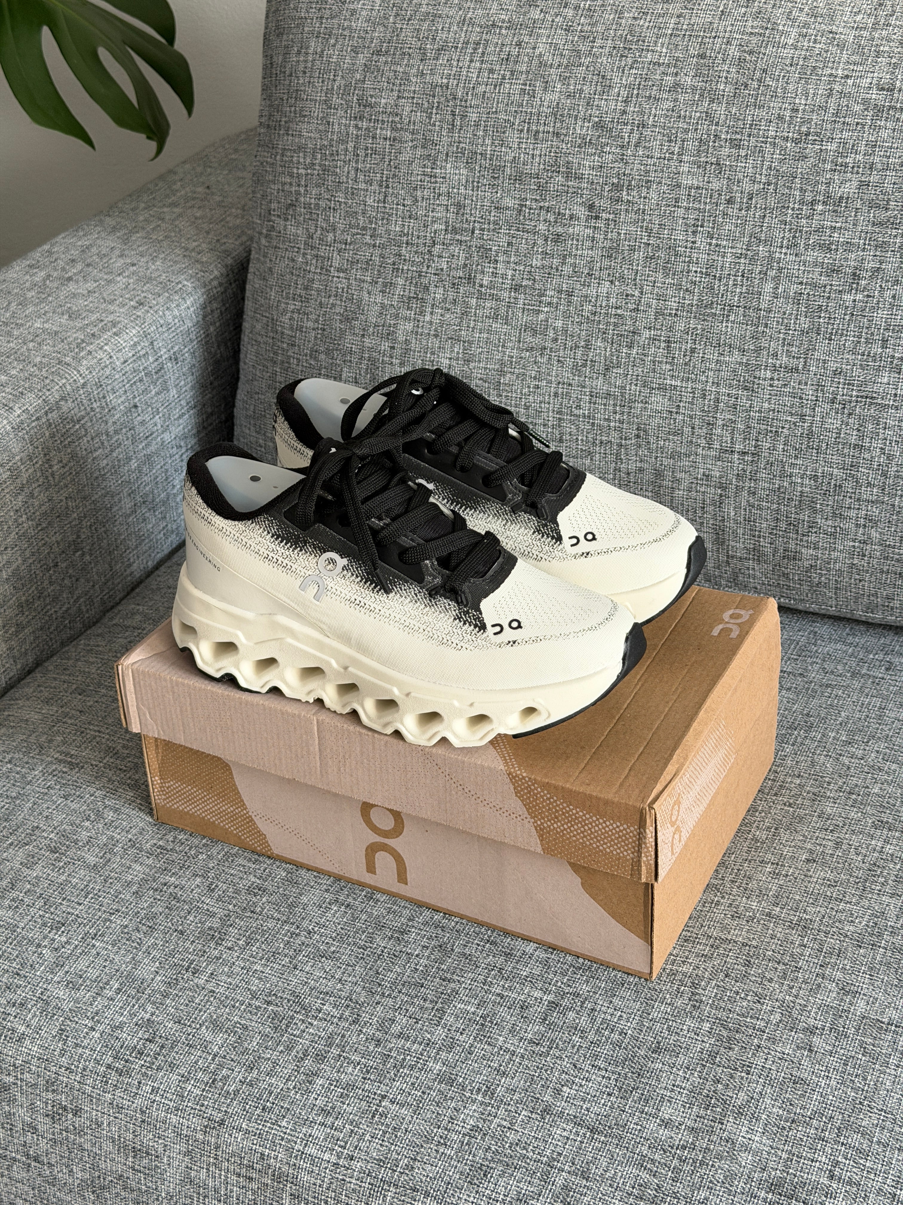 On Running Cloudmonster - Undyed/Black